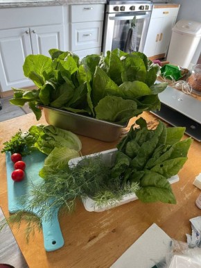 ����: ����� �������� ������ � ����� ����� ������