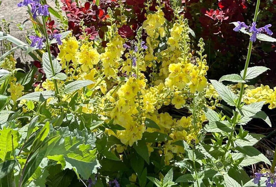 ���������: ��� ��������� ������� ��� ���������� ����