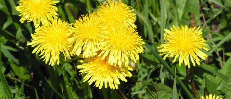 ����������: ��� ���������� ������� ������ � �������� �������� ��� ����