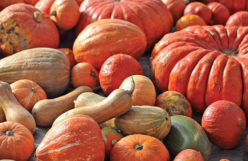 �����: ������� ���������� ����� ��� �������� � ������� ����