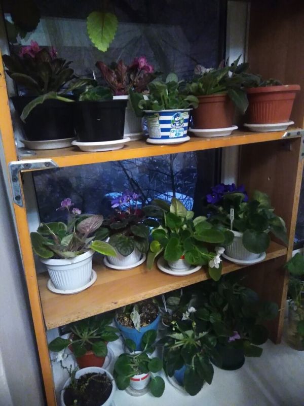 ������ ������ �� ������: 10 ������ � ������ �� �����