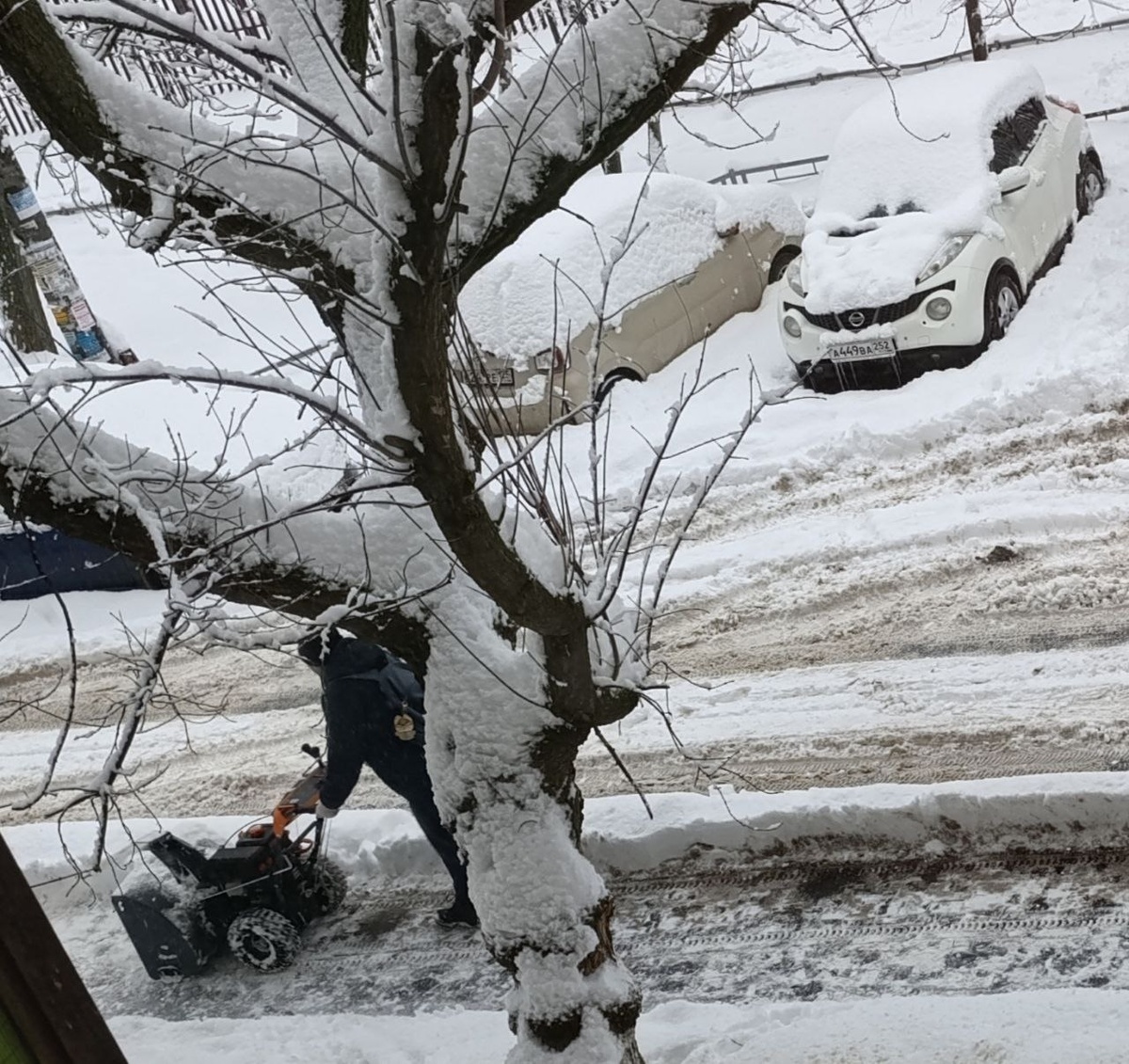 Зимняя сказка в Нижнем Новгороде: дачные приключения и вкусный рецепт