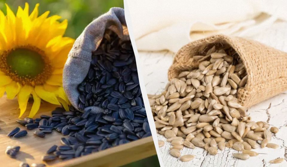 ������� �������������: 9 ������� � �������� �������� �� ������������