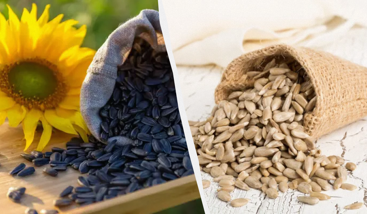 Семечки подсолнечника: 9 вкусных и полезных способов их употребления