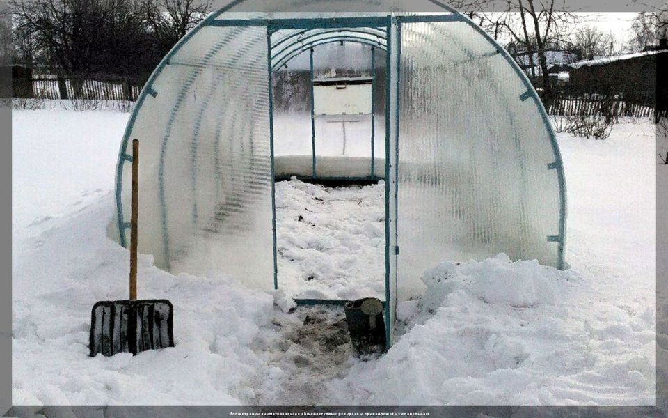 ��� ����� ������� �� ���� � ������: �������� ������ ��� ���������