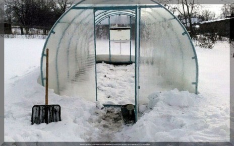 ��� ����� ������� �� ���� � ������: �������� ������ ��� ���������