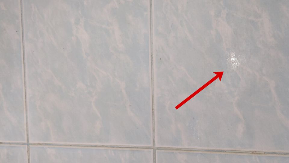 ����������� ������ ������� ������ � ���� � ������