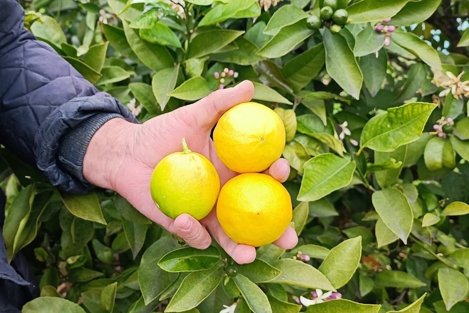 Как привычки могут разрушить зубную эмаль: важные советы стоматолога