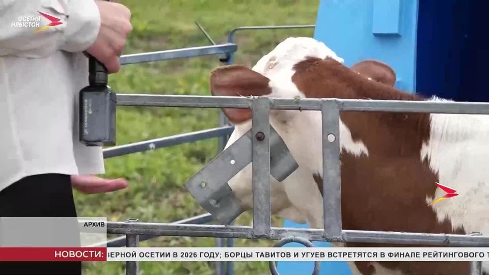 114 ��������� ������ �������� �� �������� ����������� � �������� ������