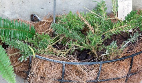 ���������: ����� ������ �������� � ����� ����