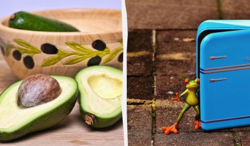 Как сохранить авокадо свежим: полезные советы эксперта