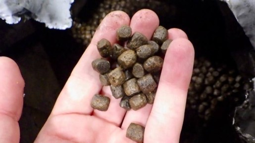 Ввоз 22 тонн рыбьего корма пресекли североосетинские таможенники