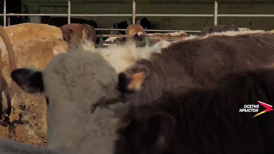 ���� �������� ������� ������ � ��������