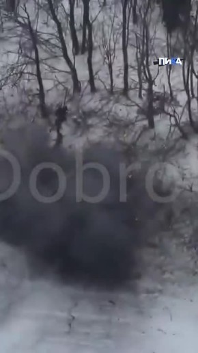 Точные удары по позициям ВСУ нанесли операторы БПЛА отряда «Алания» Добровольческого корпуса