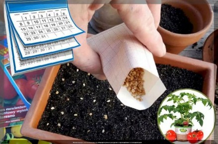 ����������� ������: ����� ����� � ����� ������� �� �������