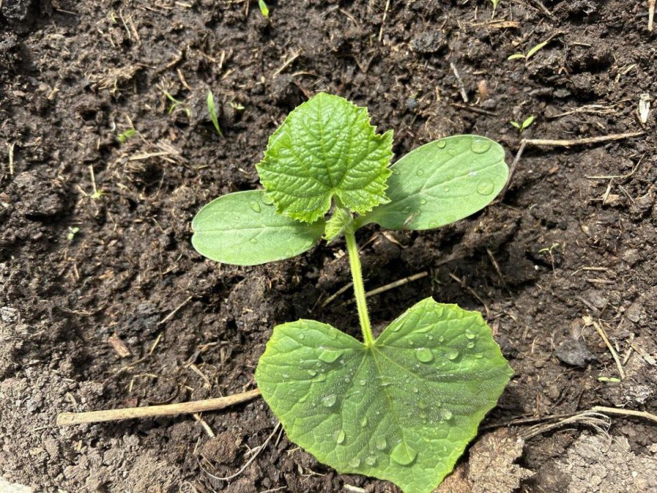 ��� ��������� ������ � ��� � ������ ��� ��������