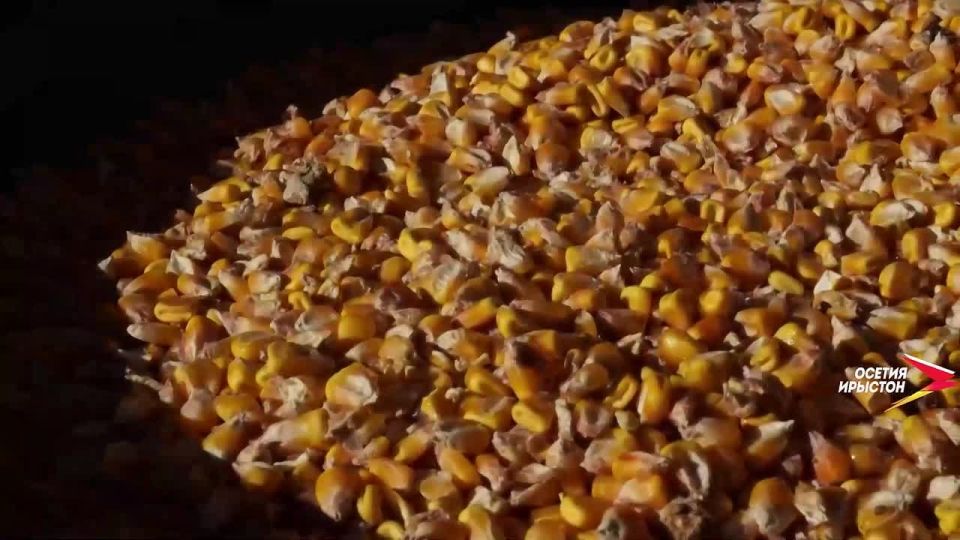 ������� #�������-�� ����������� ����� ��� ���� ����� ����� ����� ����������