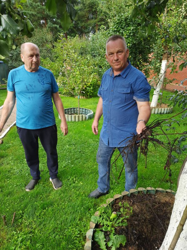 ������������� �������� � �������� ������