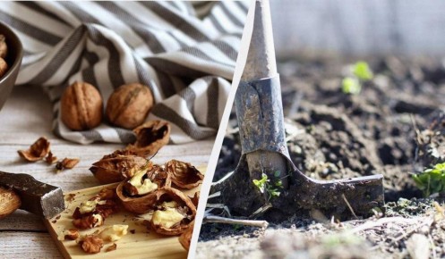 �������� ��������: ����������� ��������� ��� ������ �������