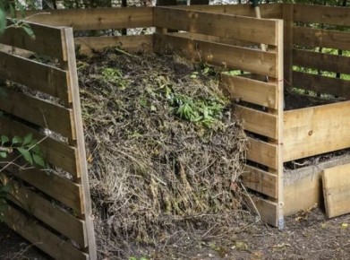 Что стоит избегать в компосте для здоровья вашего сада