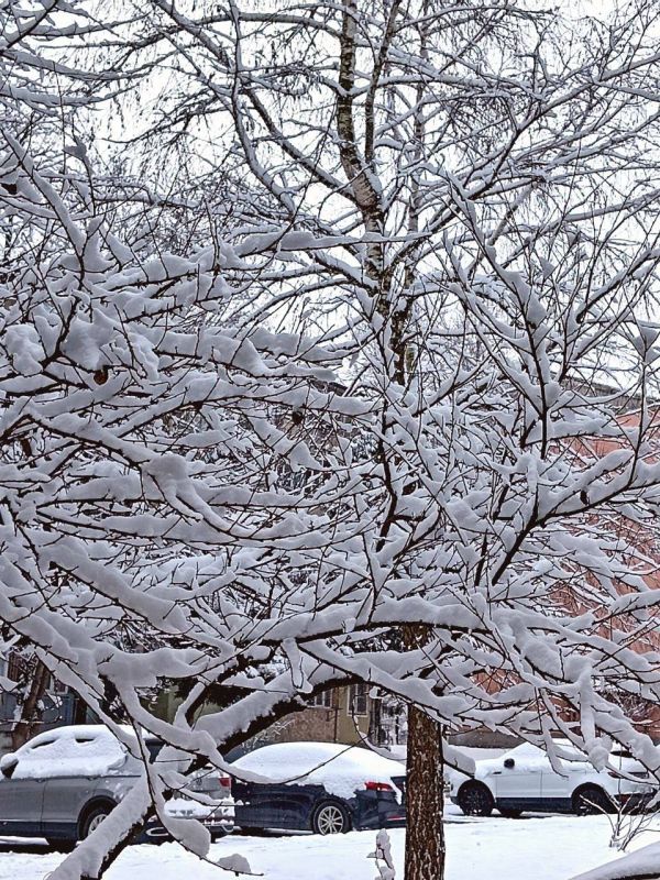 ���� �. �����������. ������ � ��� ����� ���������� �����, ��� �������, ��� � � ������, �� ����� ������