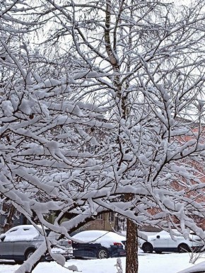 ���� �. �����������. ������ � ��� ����� ���������� �����, ��� �������, ��� � � ������, �� ����� ������