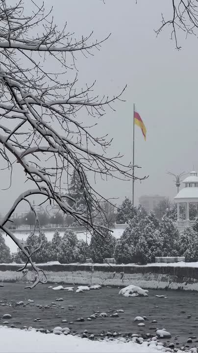 ������� �������� ������ ����������� � ������ ���� �����