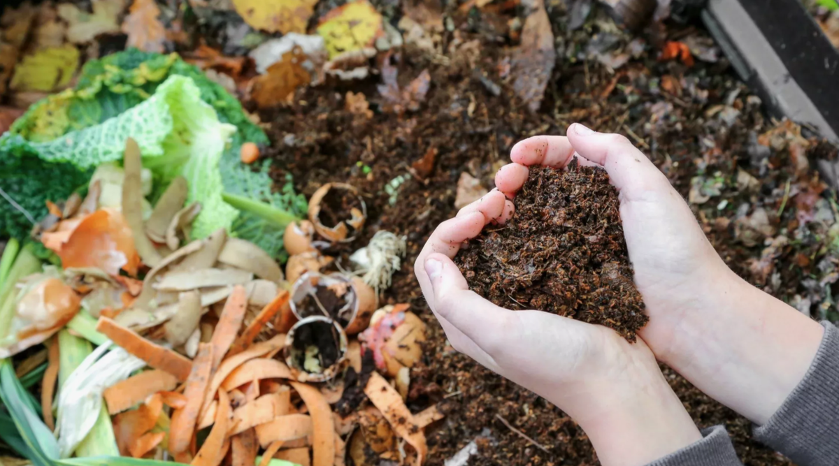 Как сохранить компостную кучу теплой зимой: 5 простых шагов для успешного перегноя