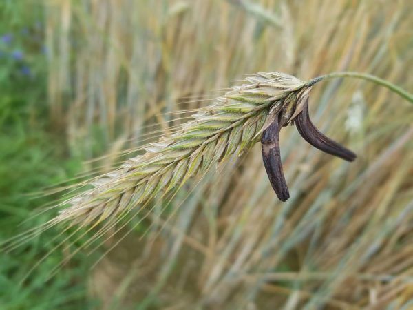 �����������: ����� ������� ����, � ������� ����� �����