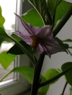 ����� ���� ����� ��������� � �����: ������ �� ������� ������