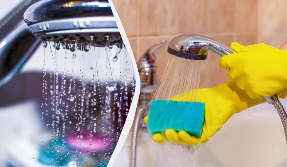 Как вернуть душевой лейке первозданный вид с помощью простых средств