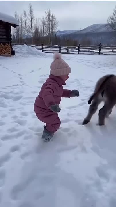 ������ ����, ������!. �� ������������ ��������� �������� ������