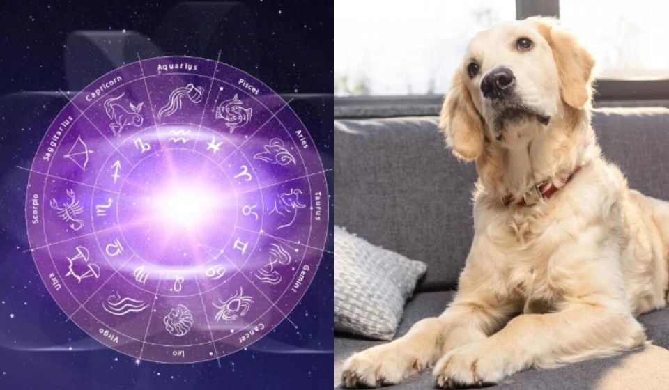 ������� ��������: ����� ������ ������� �� ����� �������