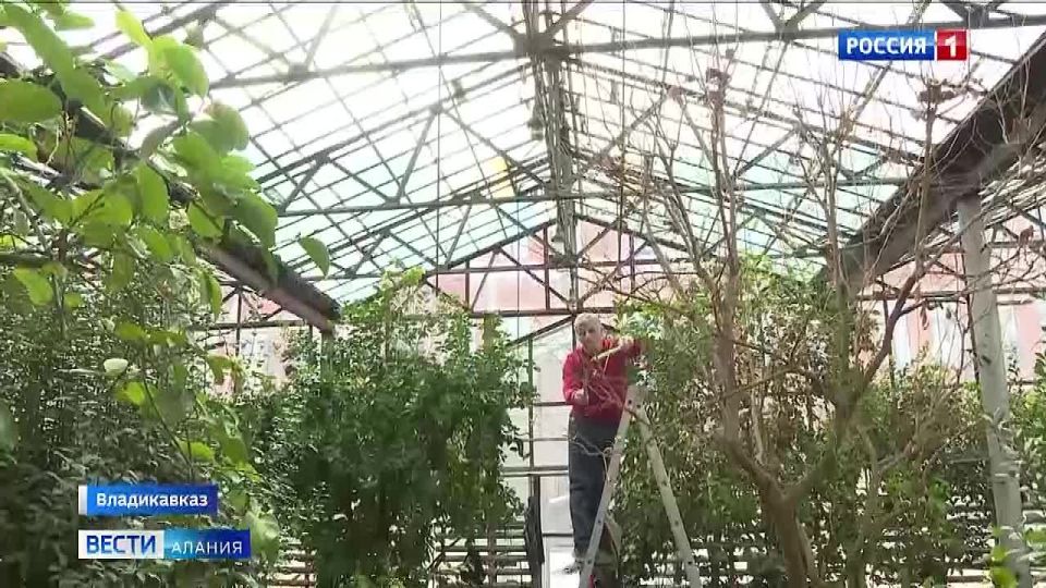 � ��������� �������� ��� �������� ��������� �� ������������ ����������