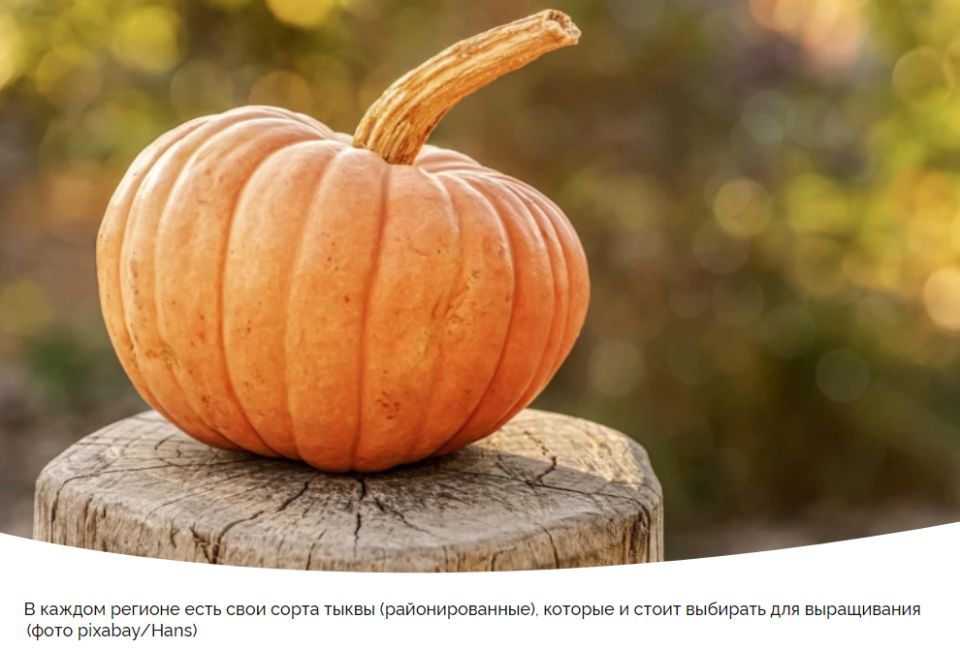 ������� ����� �����, ������� ����� ����������� � ���� ������