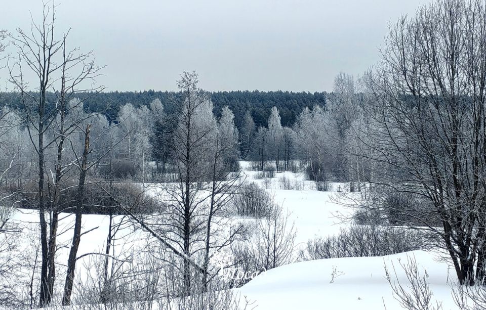 ����� ����� ������, � ������� �������� � ���� ����