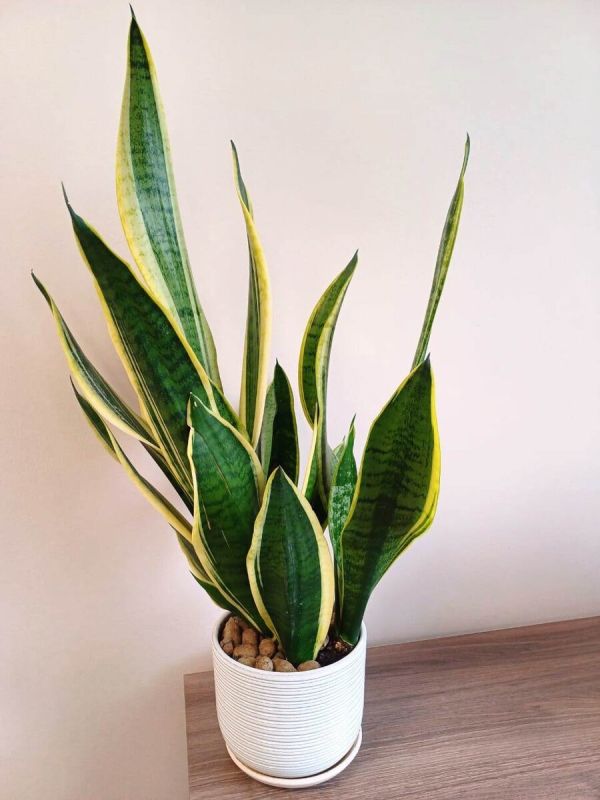 ��� ��������� ����������� � ������ �� ����� � �����������