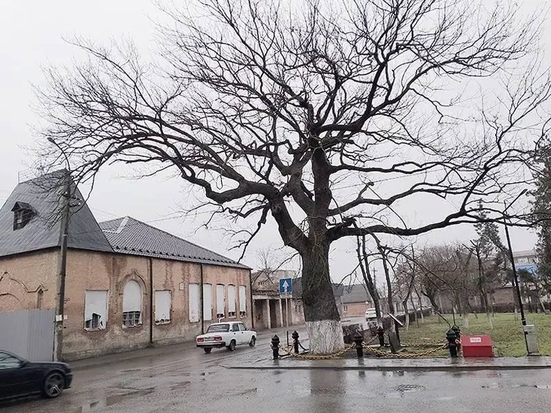 �� ������� ������. . ����-��������� ������ ��������� ������! ����� �� ���������������������� ���������� ������ �������� ������ ������� �������� ��� � �������� ������