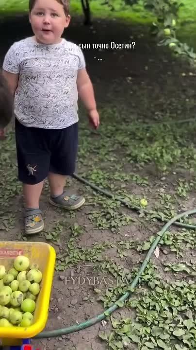 ������ ����, ������!. �� ������������ ��������� �������� ������, ����������� ������� 40%