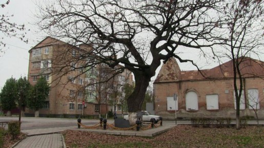 � ������� ��������� ��������� ������������� ����, ������� �������� ���������� ������� ������������� �������� �, �� ��������, ��� ������� � ��� ��������� ������