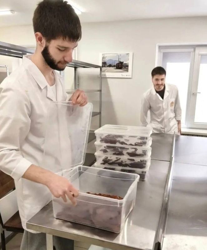 �������� ������-����������� �������-�������������� ��������, ����������� �� ������������� ����������� ��������� ������� ��������� ��������������, �������� �� ������������ ��������� ������� ��� ���������� ���