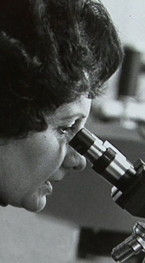 ����� �����������. ������ � ������� �����