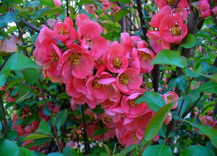 ��� ������� ����� �� �������� �����