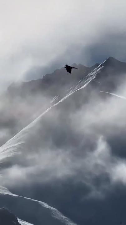 ������ ����, ������!. �� ������������ ��������� �������� ������, ����������� ������� 45%