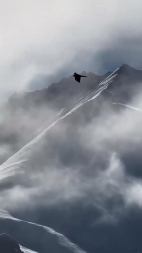 ������ ����, ������!. �� ������������ ��������� �������� ������, ����������� ������� 45%