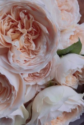 � ���������� �����, ������� � ��������, ������� ������� ������!