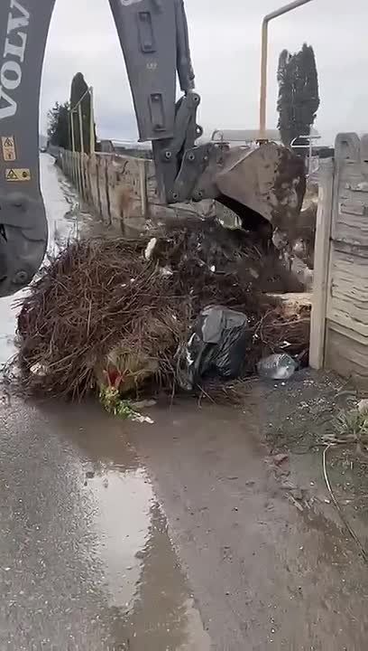 �� ���������� �������� ������������� ��������� ������