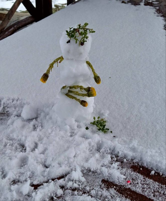 ���� �. �����������. ����� ������ ����������� ���������!