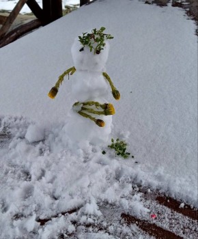 ���� �. �����������. ����� ������ ����������� ���������!