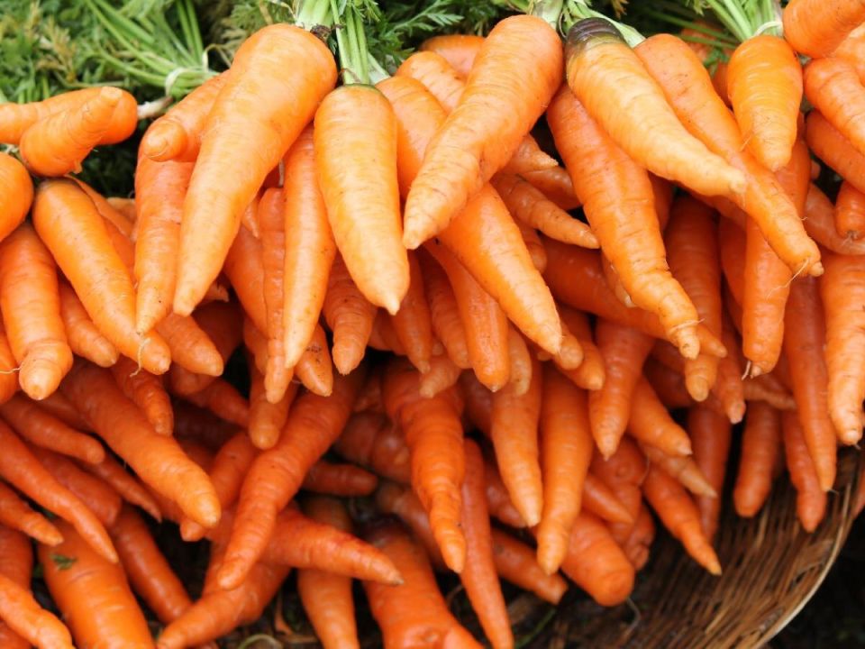 ������������ ������� ��� ����� �������: ��� ������ �������� ������ ������� ����